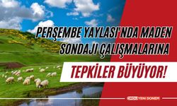 Perşembe Yaylası'nda Maden Sondajı Çalışmalarına Tepkiler Büyüyor