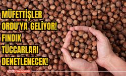 Müfettişler Ordu'ya geliyor! Fındık tüccarları denetlenecek!