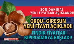 Ordu-Giresun Yeni Fiyatı Açıkladı! Fındık fiyatları kıpırdamaya başladı!