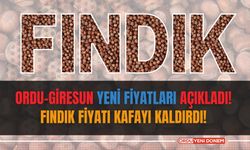 Ordu-Giresun yeni fiyatları açıkladı! Fındık fiyatı kafayı kaldırdı! 22 Eylül 2024 Fındık fiyatları