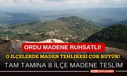 Ordu Madene Ruhsatlı! O ilçelerde maden tehlikesi çok büyük!