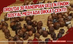 Ordu’da 30 Randıman Gelen Fındık Sosyal Medyada Dikkat Çekti!