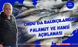 Ordu'da Balıkçılardan Palamut ve Hamsi Açıklaması! 11 Eylül Balık Fiyatları?