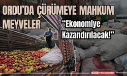 Ordu’da Çürümeye Mahkum Meyveler Ekonomiye Kazandırılacak!