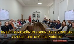 Ordu'da Enerji Sektörünün Sorunları, Sıkıntıları ve Talepleri Değerlendirildi