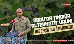 Ordu’da Fındığa Alternatif Ürün! Her Geçen Gün İlgi Artıyor!