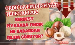 Ordu’da Fındık Fiyatı Tepe Taklak! Serbest Piyasada Fındık Ne Kadardan İşlem Görüyor?