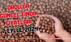 ORDU'DA GÜNCEL FINDIK FİYATLARI (7.09.2024)