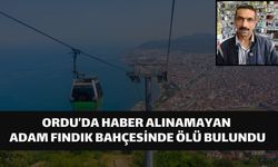 Ordu’da Haber Alınamayan Adam Fındık Bahçesinde Ölü Bulundu