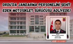 Ordu'da Jandarma Personelini Şehit Eden Motosiklet Sürücüsü Adliyede!