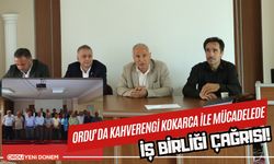 Ordu’da Kahverengi Kokarca ile Mücadelede İş Birliği Çağrısı!