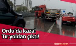 Ordu'da kaza! Tır yoldan çıktı!