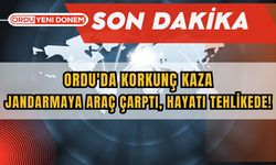 Ordu'da Korkunç Kaza: Jandarmaya Araç Çarptı, Hayatı Tehlikede!