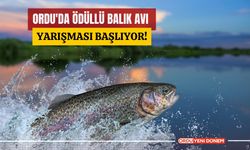 Ordu'da ödüllü balık avı yarışması başlıyor!