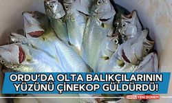 Ordu’da Olta Balıkçılarının Yüzünü Çinekop Güldürdü!