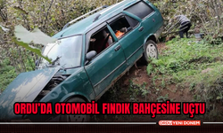 Ordu’da Otomobil Fındık Bahçesine Uçtu