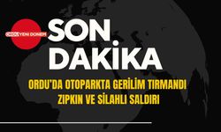 Ordu’da Otoparkta Gerilim Tırmandı: Zıpkın ve Silahlı Saldırı