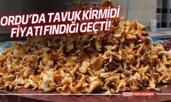 Ordu’da Tavuk Kirmidi Fiyatı Fındığı Geçti!