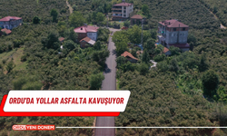 Ordu'da yollar asfalta kavuşuyor