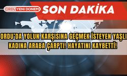 Ordu’da Yolun Karşısına Geçmek İsteyen Yaşlı Kadına Araba Çarptı! Hayatını Kaybetti!