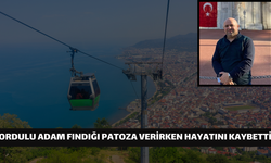 Ordulu Adam Fındığı Patoza Verirken Hayatını Kaybetti