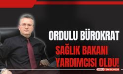 Ordulu Bürokrat Sağlık Bakanı Yardımcısı Oldu!