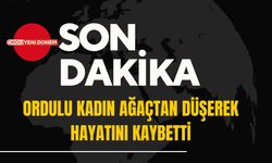 Ordulu Kadın Ağaçtan Düşerek Hayatını Kaybetti