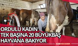 Ordu'da Üreten kadın: Tek başına 20 büyükbaş hayvana bakıyor