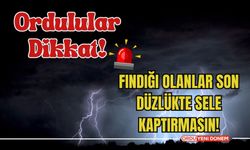 Ordulular Dikkat! Fındığı Olanlar Son Düzlükte Sele Kaptırmasın!