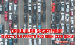 Ordulular Şaşırtmadı! İsveç’te İlk Parkta 400 Kron Ceza Şoku!