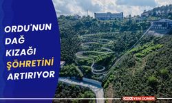 Ordu'nun dağ kızağı şöhretini artırıyor