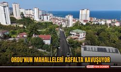 Ordu'nun mahalleleri asfalta kavuşuyor