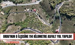 Ordu'nun o ilçesine 114 kilometre asfalt yol yapıldı!