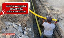 Ordu'nun o ilçesine bir ay sonra doğal gaz geliyor!