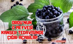 Ordu’nun O Meyvesi Kanser Tedavisinde Çığır Açabilir!