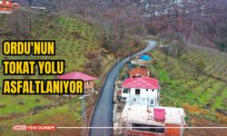 Ordu'nun Tokat Yolu Asfaltlanıyor