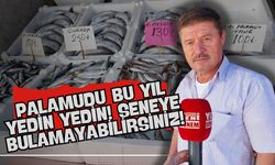 Palamudu Bu Yıl Yedin Yedin Seneye Bulamayabilirsiniz! Palamut Fiyatları ve Balık Tezgahlarındaki Son Durum...