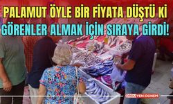 Palamut öyle bir fiyata düştü ki görenler almak için sıraya girdi!