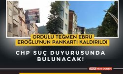 Ordulu Teğmen Ebru Eroğlu'nun Pankartı Kaldırıldı, CHP Suç Duyurusunda Bulunacak!