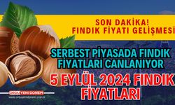 Serbest piyasada fındık fiyatları canlanıyor! 5 Eylül 2024 Fındık Fiyatları