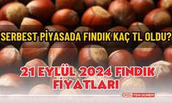 Serbest Piyasada Fındık Kaç TL Oldu? 21 Eylül 2024 Fındık Fiyatları