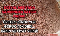 Sosyal Medyada Sahibinden Satılık Fındık! Üretici Çürük Yok Goruk Yok Dedi... Bakın Ne Fiyat Verdi!