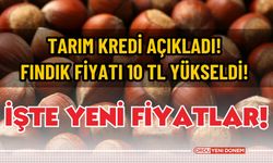 Tarım Kredi açıkladı! Fındık fiyatı 10 TL yükseldi!