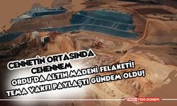 Cennetin Ortasında Cehennem: Ordu’da Altın Madeni Felaketi! TEMA Vakfı Paylaştı Gündem Oldu!