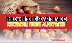 TMO’dan Üreticiye Ağır Darbe! Kokarcalı Fındık Almayacak