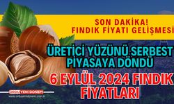 Üretici yüzünü serbest piyasaya döndü! 6 Eylül 2024 Fındık Fiyatları