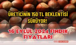 Üreticinin 150 TL beklentisi sürüyor! 16 Eylül 2024 fındık fiyatları