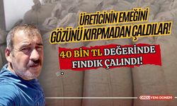 Üreticinin Emeğini Gözünü Kırpmadan Çaldılar! 40 Bin TL Değerinde Fındık Çalındı!