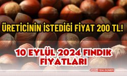 Üreticinin istediği fiyat 200 TL! 10 Eylül 2024 fındık fiyatları