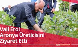 Vali Erol, Aronya Üreticisini Ziyaret Etti